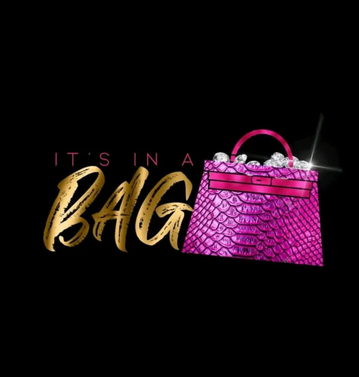 www.Itsinabagllc.com
